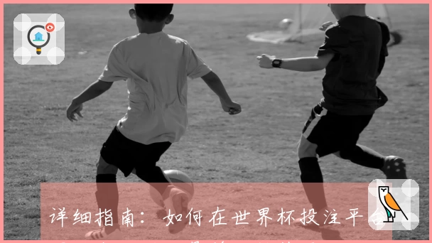 详细指南：如何在世界杯投注平台网址上注册账号并开始使用