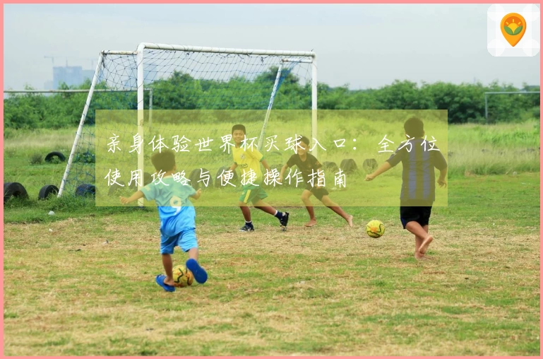 亲身体验世界杯买球入口：全方位使用攻略与便捷操作指南