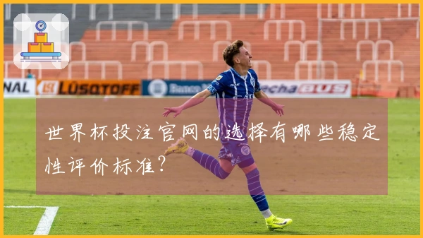 世界杯投注官网的选择有哪些稳定性评价标准？
