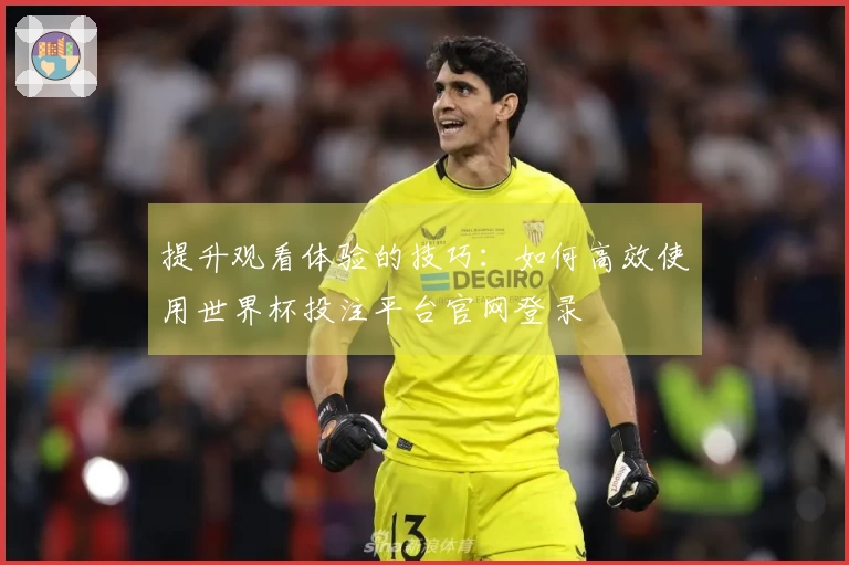 提升观看体验的技巧：如何高效使用世界杯投注平台官网登录