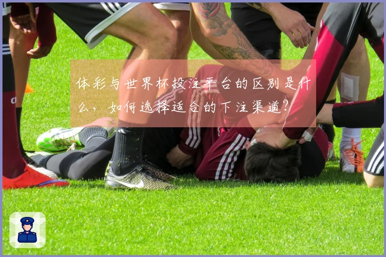 体彩与世界杯投注平台的区别是什么，如何选择适合的下注渠道？