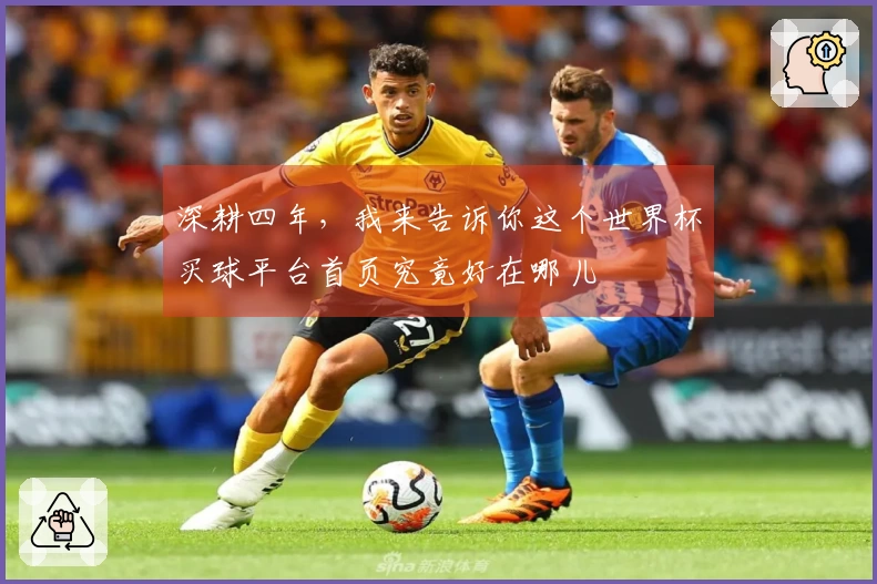深耕四年，我来告诉你这个世界杯买球平台首页究竟好在哪儿