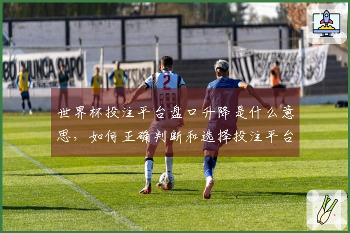 世界杯投注平台盘口升降是什么意思，如何正确判断和选择投注平台？