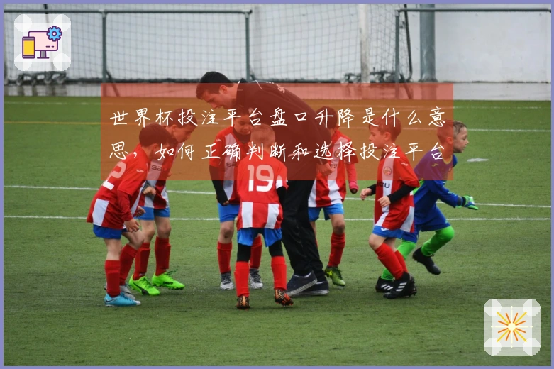 世界杯投注平台盘口升降是什么意思，如何正确判断和选择投注平台？