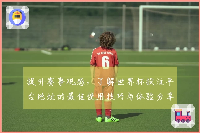 提升赛事观感，了解世界杯投注平台地址的最佳使用技巧与体验分享