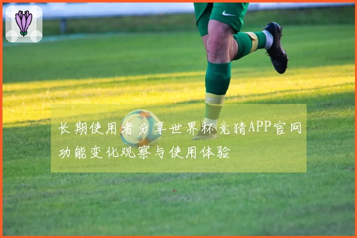 长期使用者分享世界杯竞猜APP官网功能变化观察与使用体验