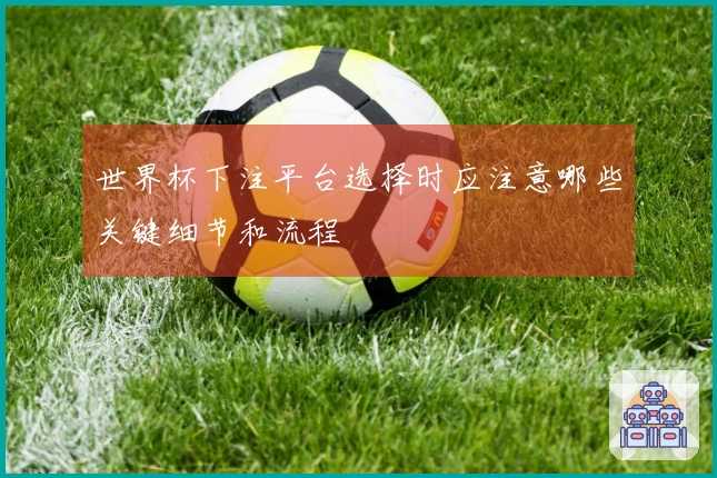 世界杯下注平台选择时应注意哪些关键细节和流程