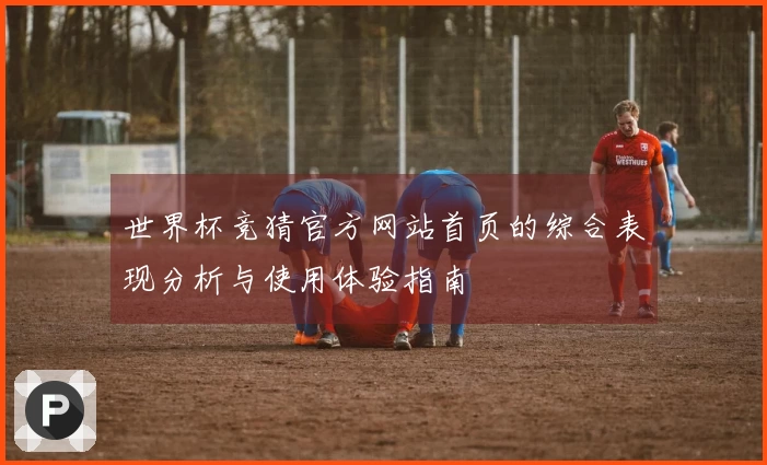 世界杯竞猜官方网站首页的综合表现分析与使用体验指南