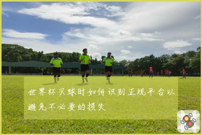 世界杯买球时如何识别正规平台以避免不必要的损失
