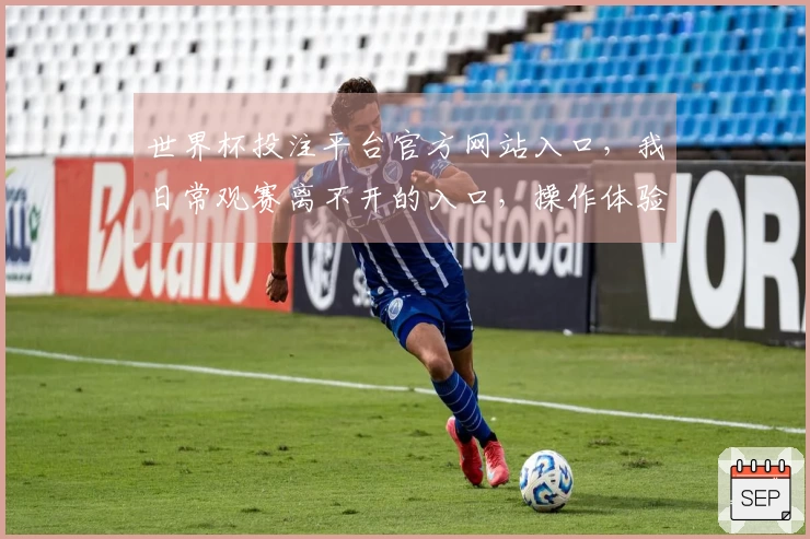 世界杯投注平台官方网站入口，我日常观赛离不开的入口，操作体验太赞了